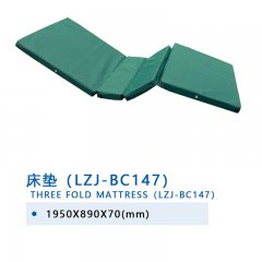 床垫（LZJ-BC147）